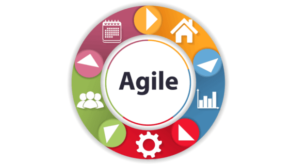 Agile Project Management (ICP-APM)